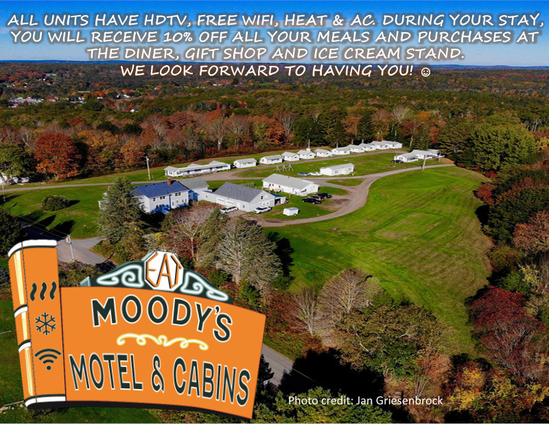 Motel and Cabins